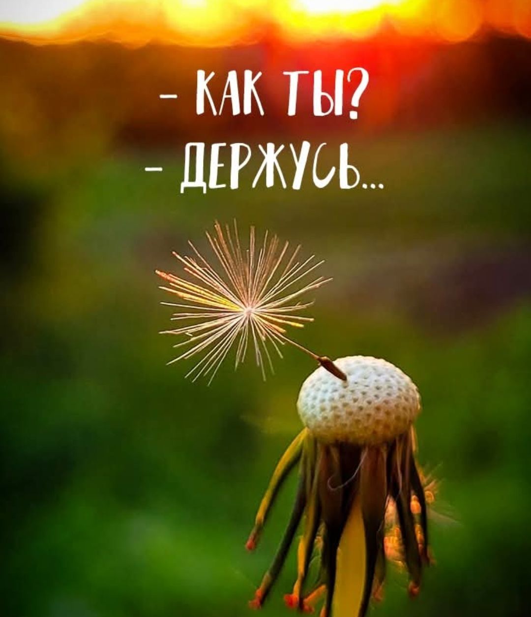 - Как ты?
- Держусь...