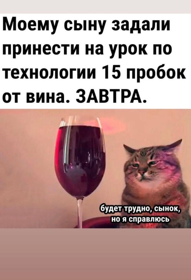 Моему сыну задали принести на урок по технологии 15 пробок от вина. ЗАВТРА. будет трудно, сынок, но я справлюсь