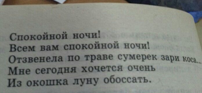 Спокойной ночи! Всем вам спокойной ночи! Отзвенела по траве сумерек зари коса... Мне сегодня хочется очень Из окошка луну обоссать.