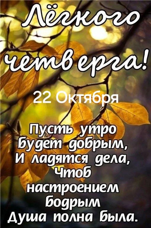 Лёгкого четверга! 22 Октября Пусть утро будет добрым, И ладятся дела, Чтоб настроением бодрым Душа полна была.