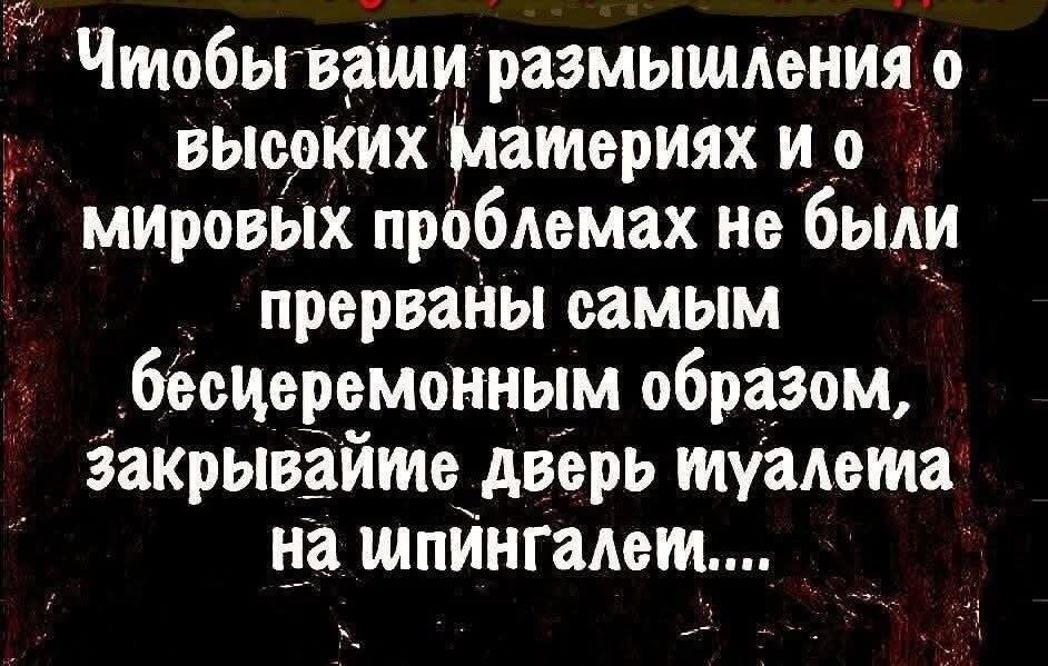 Чтобы ваши размышления о высоких материях и о мировых проблемах не были прерваны самым бесцеремонным образом, закрывайте дверь туалета на шпингалет....