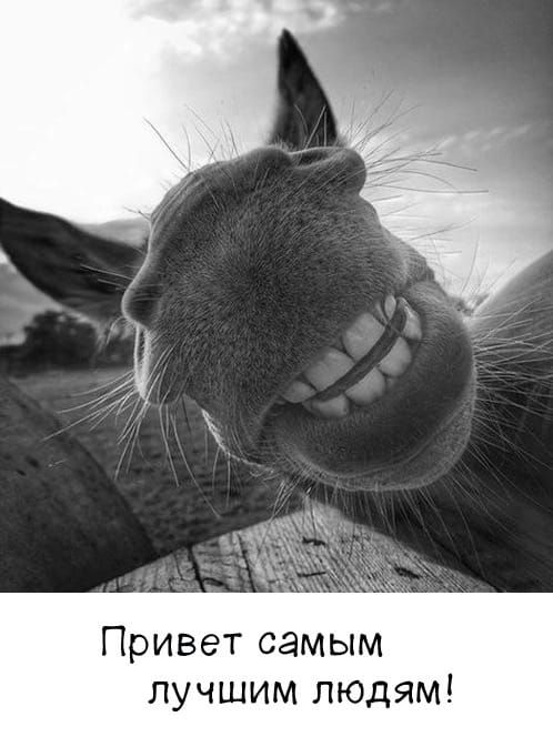Привет самым лучшим людям!
