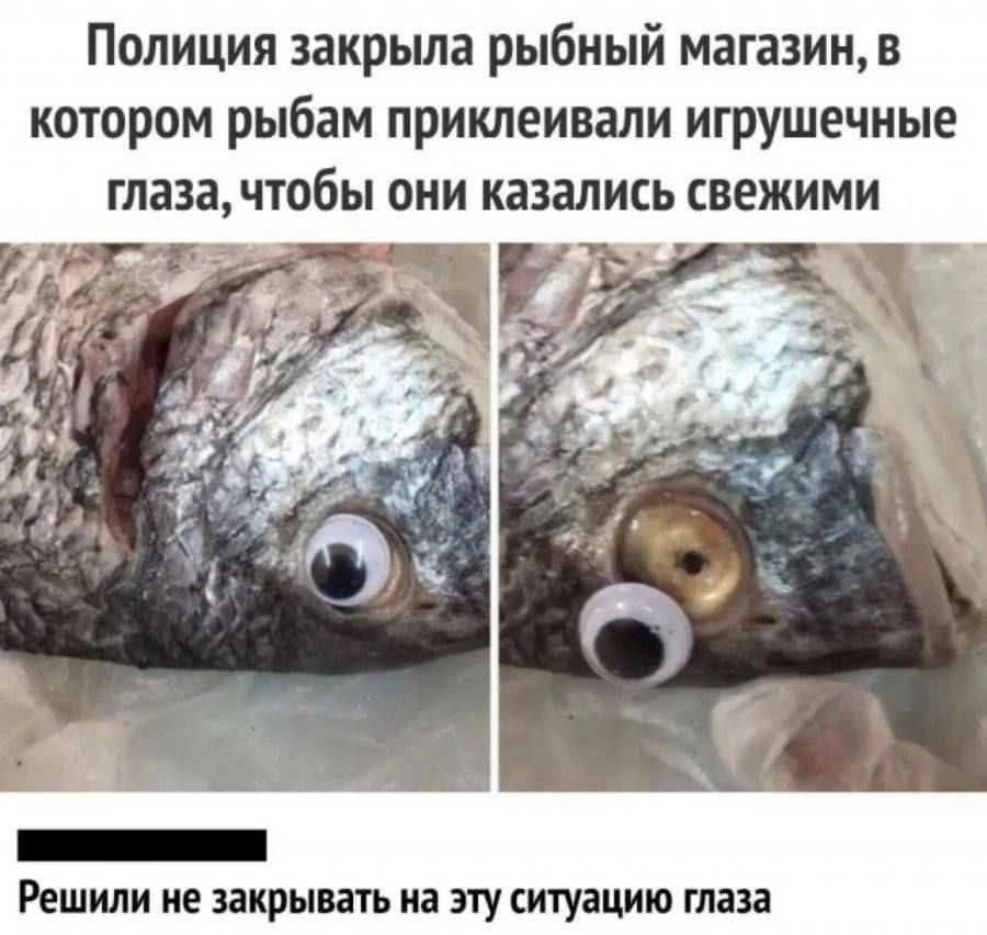Полиция закрыла рыбный магазин, в котором рыбам приклеивали игрушечные глаза, чтобы они казались свежими. Решили не закрывать на эту ситуацию глаза.