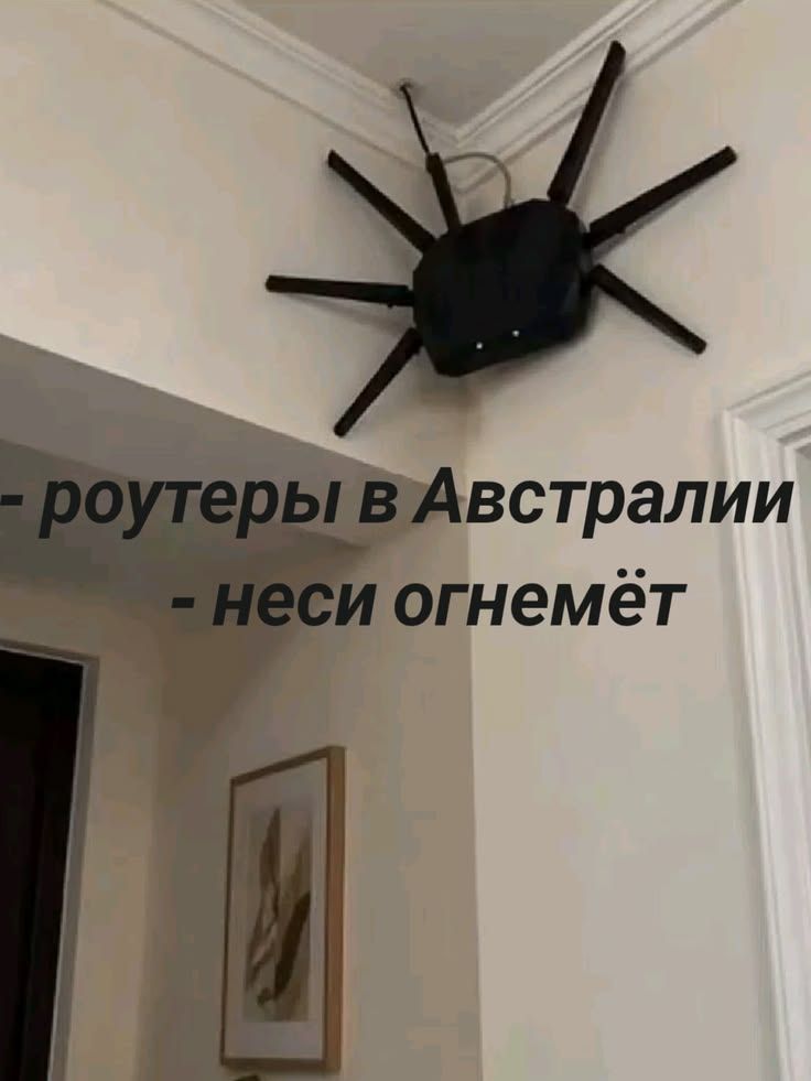 - роутеры в Австралии - неси огнемёт