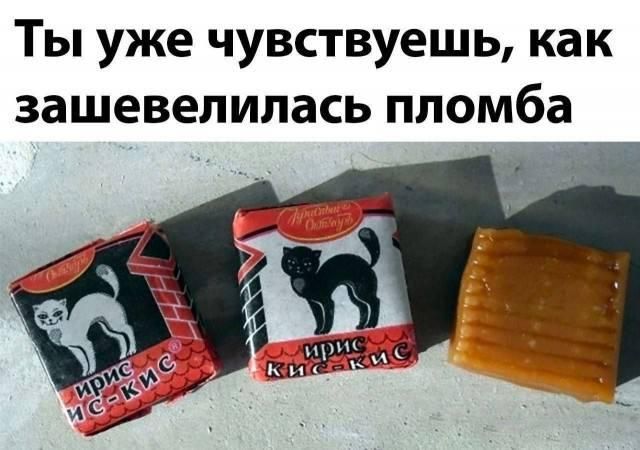 Ты уже чувствуешь, как зашевелилась пломба. Ирис Кис-Кис.