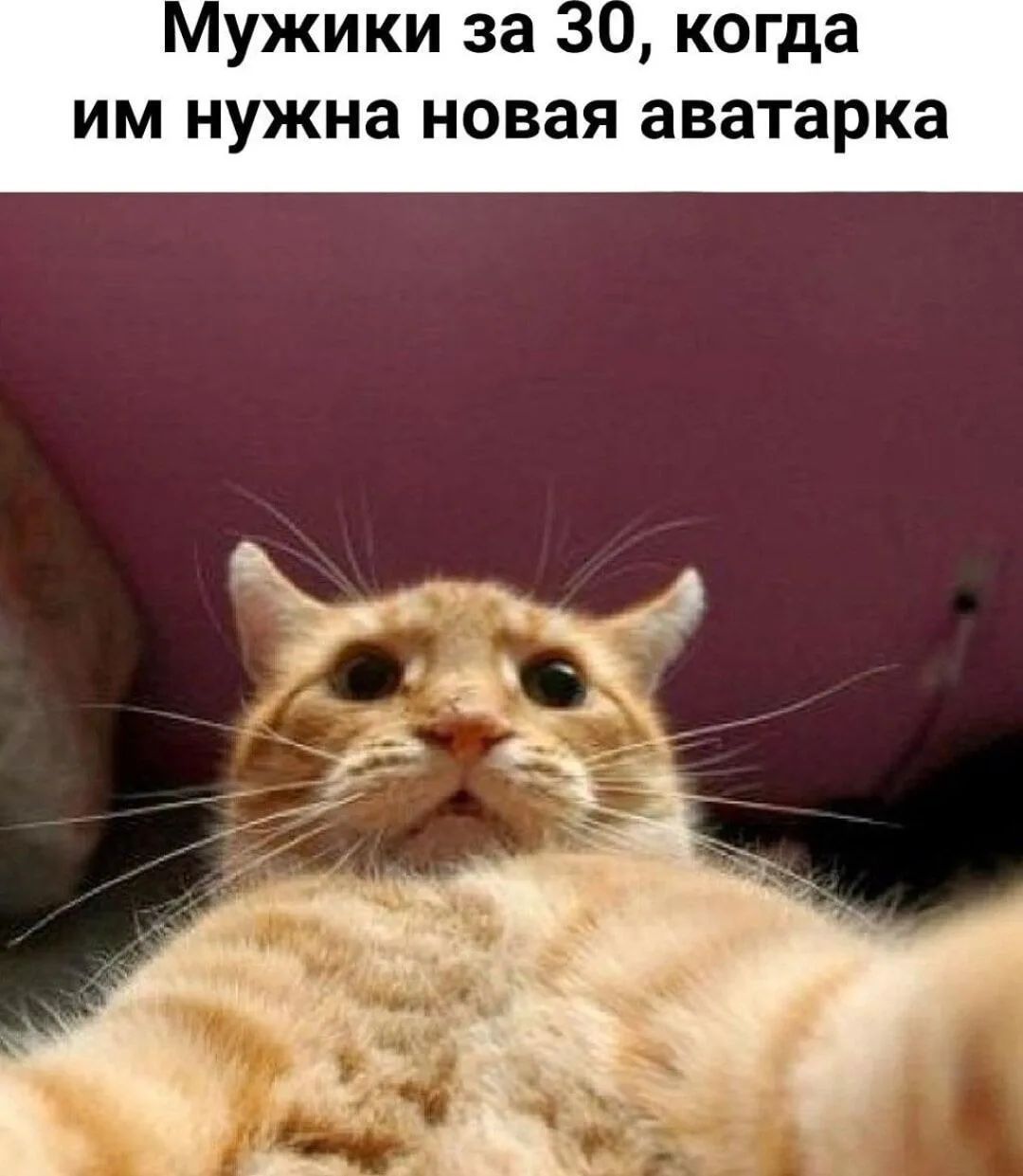 Мужики за 30, когда им нужна новая аватарка