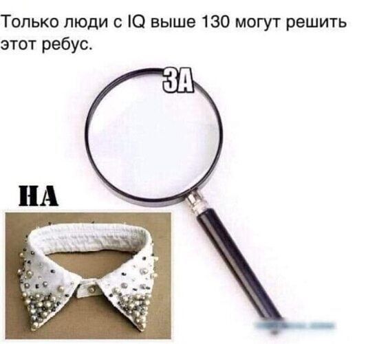 Только люди с IQ выше 130 могут решить этот ребус. ЗА НА воротник
