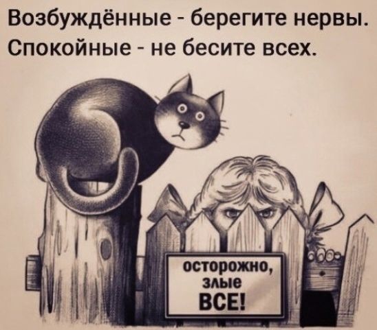 Возбуждённые - берегите нервы. Спокойные - не бесите всех. ОСТОРОЖНО, ЗЛЫЕ ВСЕ!