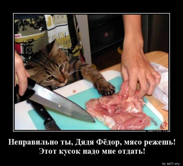 Неправильно ты, Дядя Фёдор, мясо режешь! Этот кусок надо мне отдать!