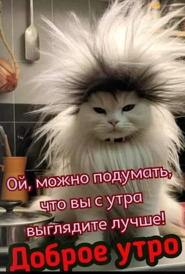 Ой, можно подумать, что вы с утра выглядите лучше! Доброе утро