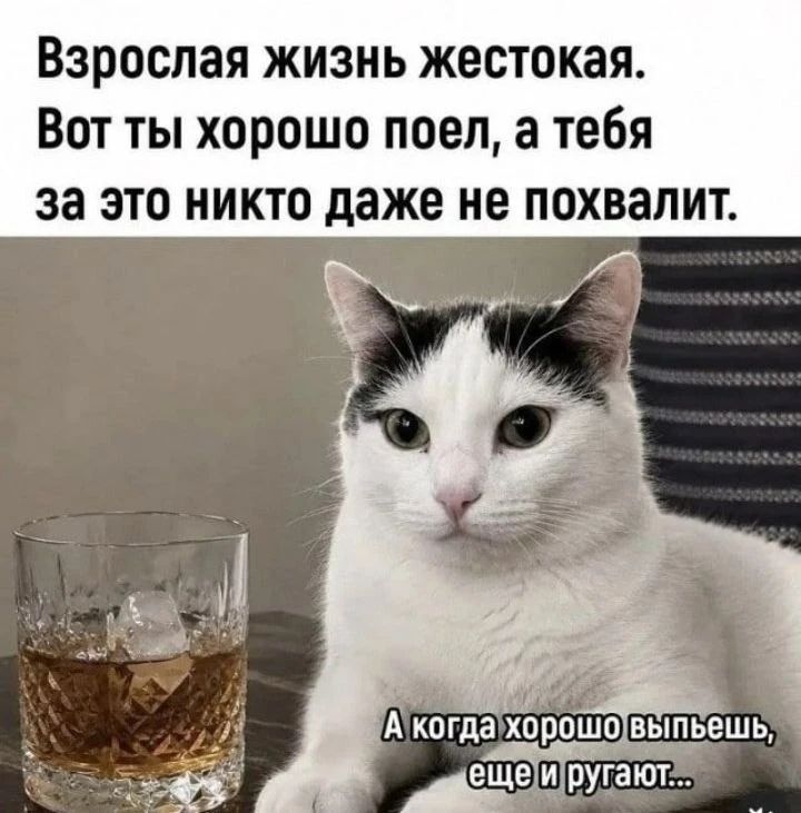 Взрослая жизнь жестокая. Вот ты хорошо поел, а тебя за это никто даже не похвалит. А когда хорошо выпьешь, еще и ругают...