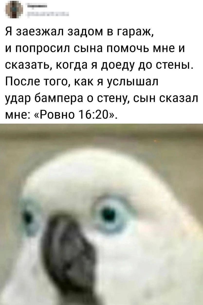 Я заезжал задом в гараж, и попросил сына помочь мне и сказать, когда я доеду до стены. После того, как я услышал удар бампера о стену, сын сказал мне: «Ровно 16:20».