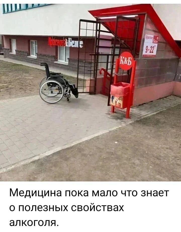 Медицина пока мало что знает о полезных свойствах алкоголя. Красное и Белое. К&Б. 9-22