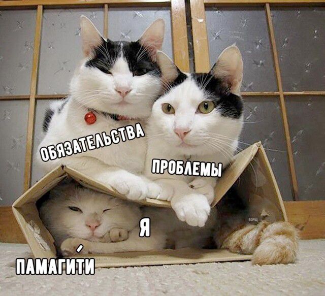 ОБЯЗАТЕЛЬСТВА ПРОБЛЕМЫ Я ПАМАГИТИ