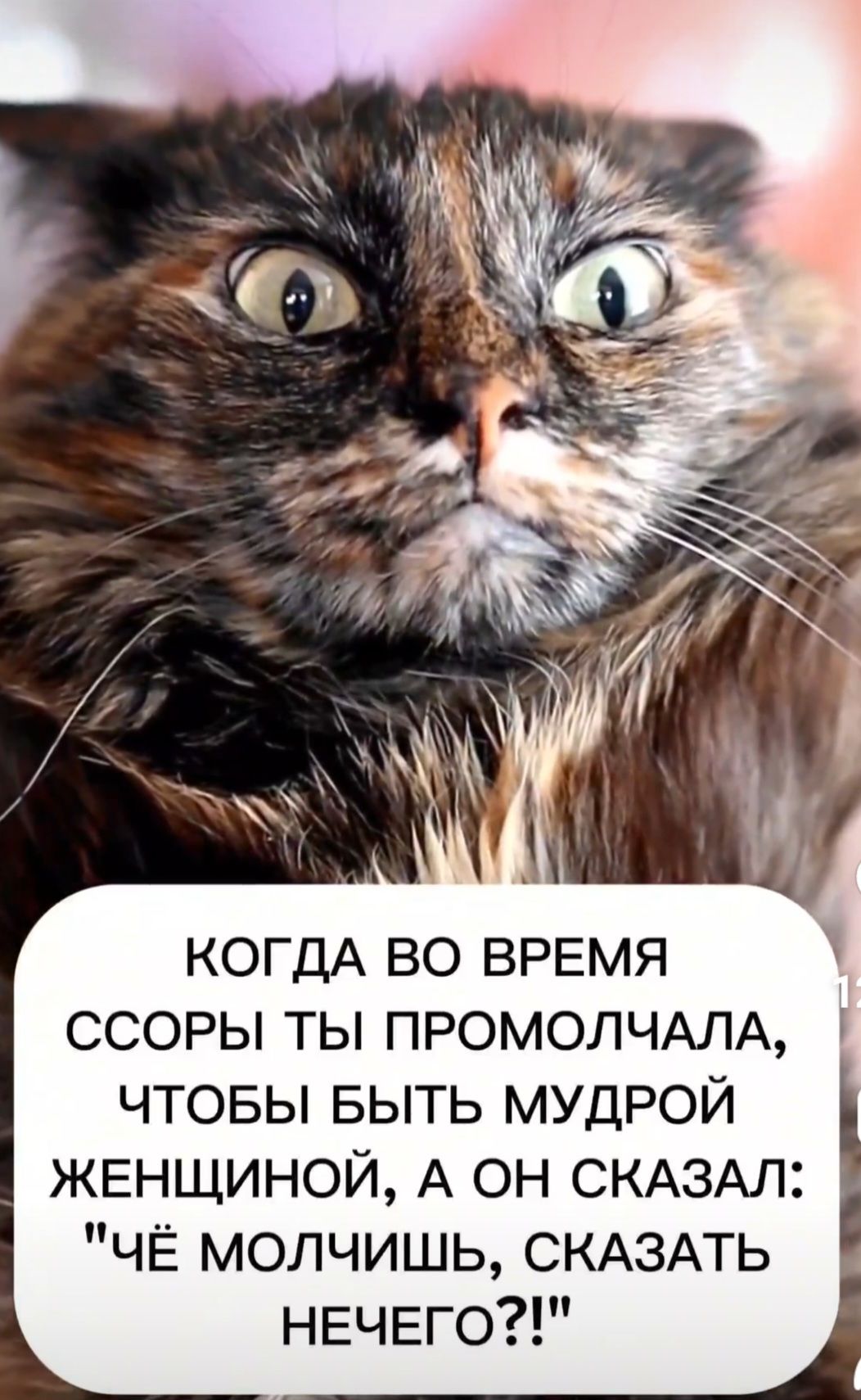 КОГДА ВО ВРЕМЯ ССОРЫ ТЫ ПРОМОЛЧАЛА, ЧТОБЫ БЫТЬ МУДРОЙ ЖЕНЩИНОЙ, А ОН СКАЗАЛ: 