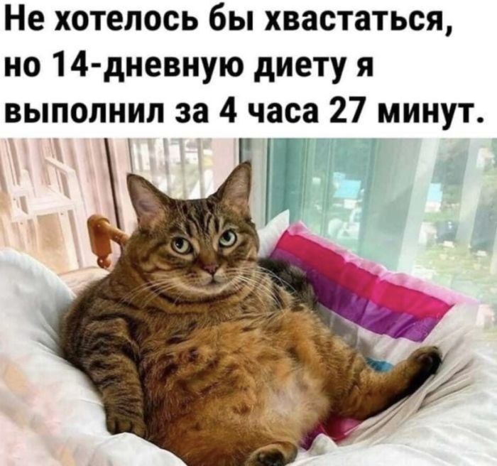 Не хотелось бы хвастаться, но 14-дневную диету я выполнил за 4 часа 27 минут.