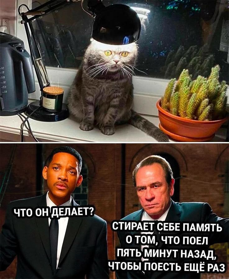 ЧТО ОН ДЕЛАЕТ? СТИРАЕТ СЕБЕ ПАМЯТЬ О ТОМ, ЧТО ПОЕЛ ПЯТЬ МИНУТ НАЗАД, ЧТОБЫ ПОЕСТЬ ЕЩЁ РАЗ