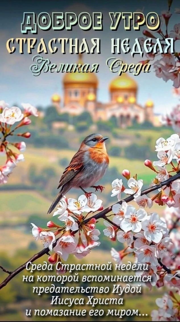 ДОБРОЕ УТРО СТРАСТНАЯ НЕДЕЛЯ Великая Среда Среда Страстной недели на которой вспоминается предательство Иудой Иисуса Христа и помазание его миром...