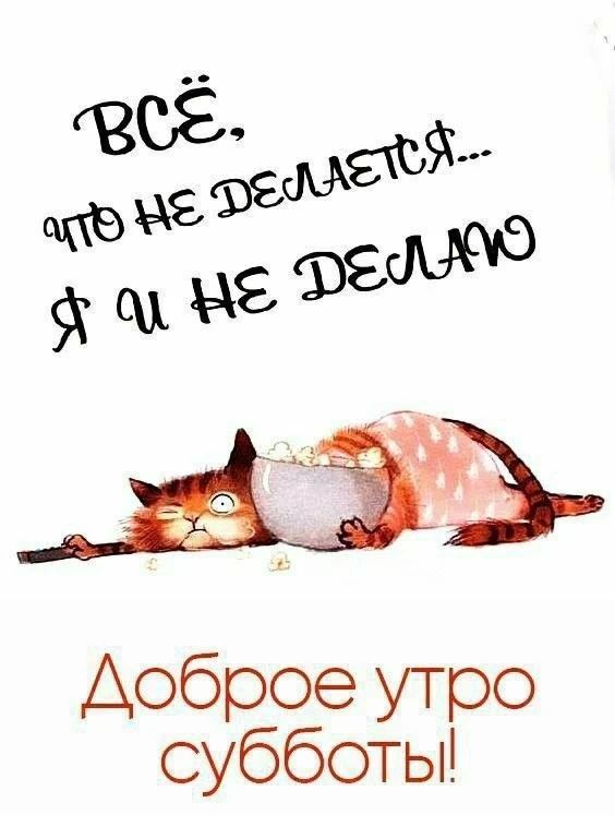 ВСЁ, ЧТО НЕ ДЕЛАЕТСЯ... Я И НЕ ДЕЛАЮ. Доброе утро субботы!