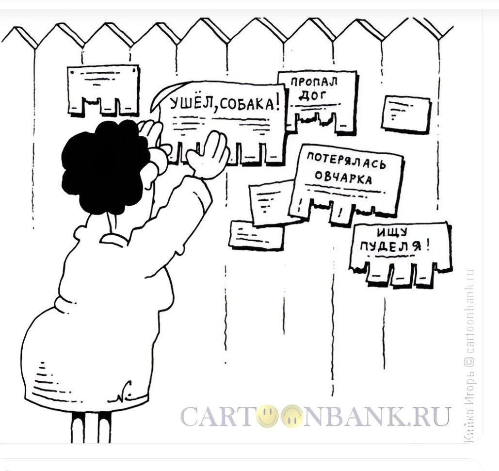 УШЁЛ, СОБАКА! ПРОПАЛ ДОГ ПОТЕРЯЛАСЬ ОВЧАРКА ИЩУ ПУДЕЛЯ!