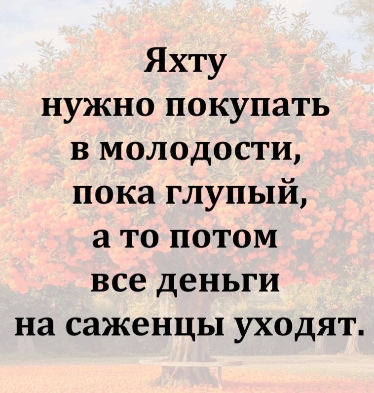 Яхту нужно покупать в молодости, пока глупый, а то потом все деньги на саженцы уходят.