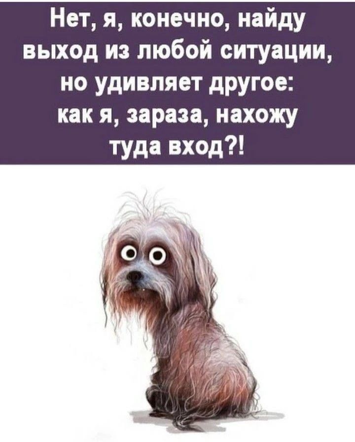 Нет, я, конечно, найду выход из любой ситуации, но удивляет другое: как я, зараза, нахожу туда вход?!