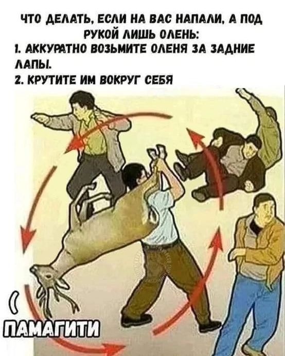 ЧТО ДЕЛАТЬ, ЕСЛИ НА ВАС НАПАЛИ, А ПОД РУКОЙ ЛИШЬ ОЛЕНЬ: 1. АККУРАТНО ВОЗЬМИТЕ ОЛЕНЯ ЗА ЗАДНИЕ ЛАПЫ. 2. КРУТИТЕ ИМ ВОКРУГ СЕБЯ ПАМАГИТИ