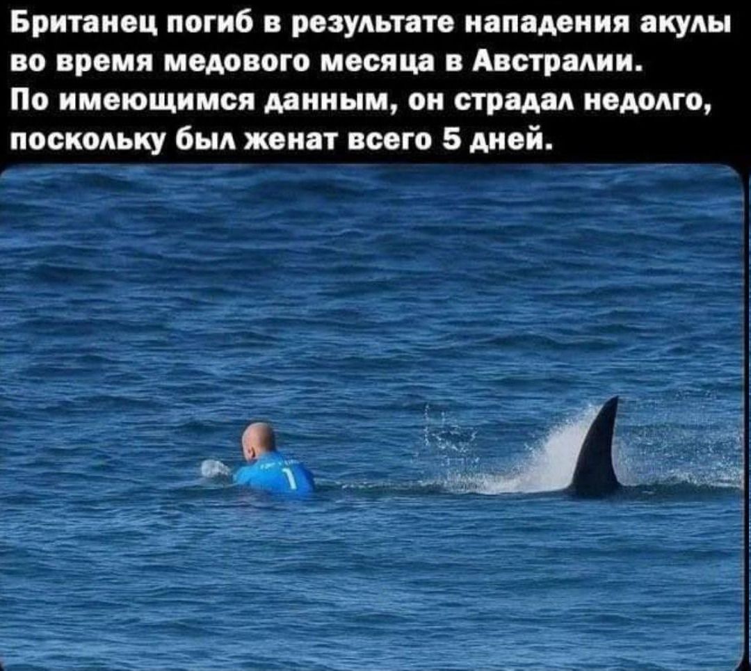 Британец погиб в результате нападения акулы во время медового месяца в Австралии. По имеющимся данным, он страдал недолго, поскольку был женат всего 5 дней.