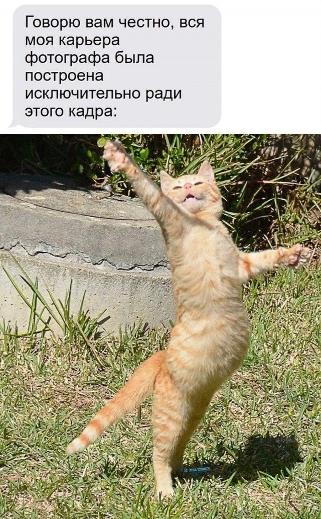Говорю вам честно, вся моя карьера фотографа была построена исключительно ради этого кадра: