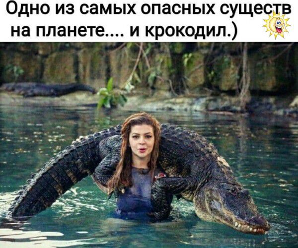 Одно из самых опасных существ на планете.... и крокодил.)