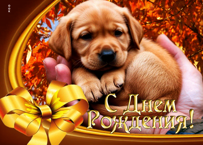 С Днем Рождения!