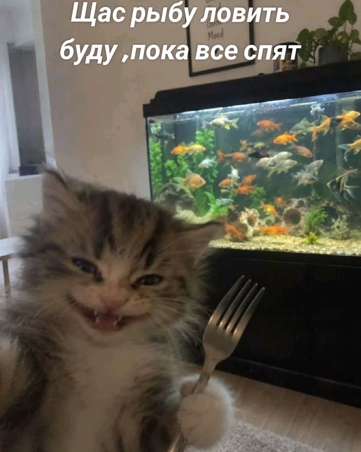Щас рыбу ловить буду ,пока все спят