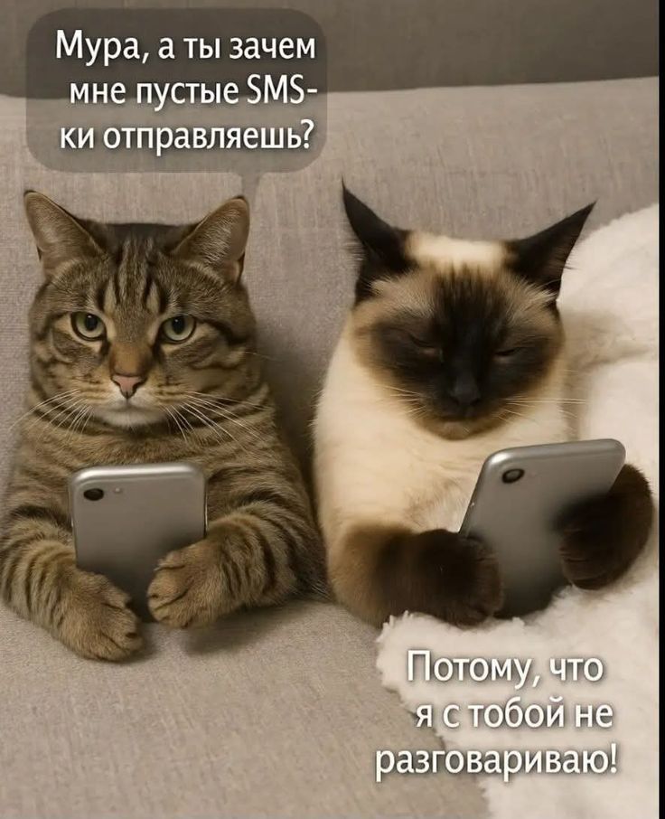 Мура, а ты зачем мне пустые SMS-ки отправляешь? Потому, что я с тобой не разговариваю!