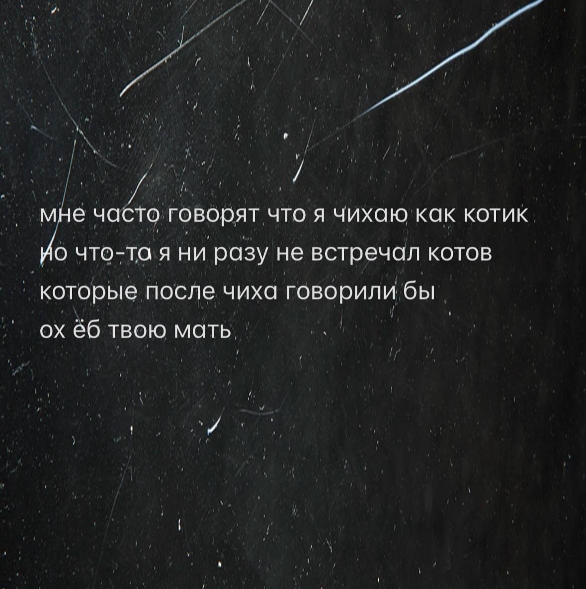 мне часто говорят что я чихаю как котик но что-то я ни разу не встречал котов которые после чиха говорили бы ох ёб твою мать