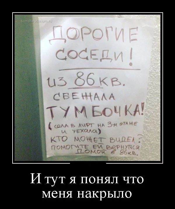 Дорогие соседи! из 86 кв. сбежала тумбочка! (села в лифт на 3м этаже и уехала) Кто может видел? помогите ей вернуться домой в 86кв. И тут я понял что меня накрыло