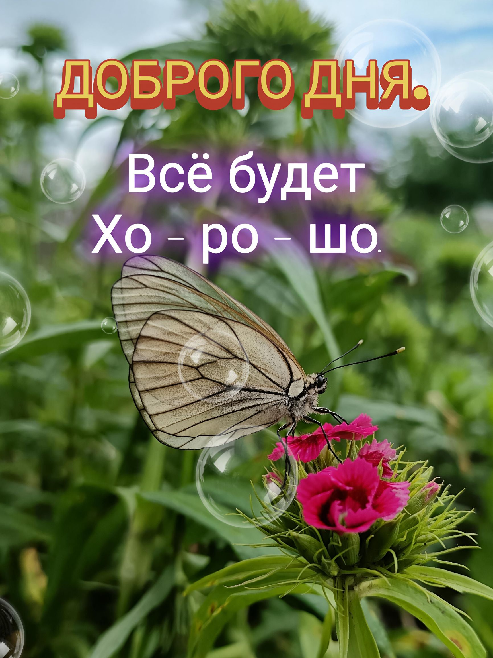 ДОБРОГО ДНЯ. Всё будет Хо-ро-шо.