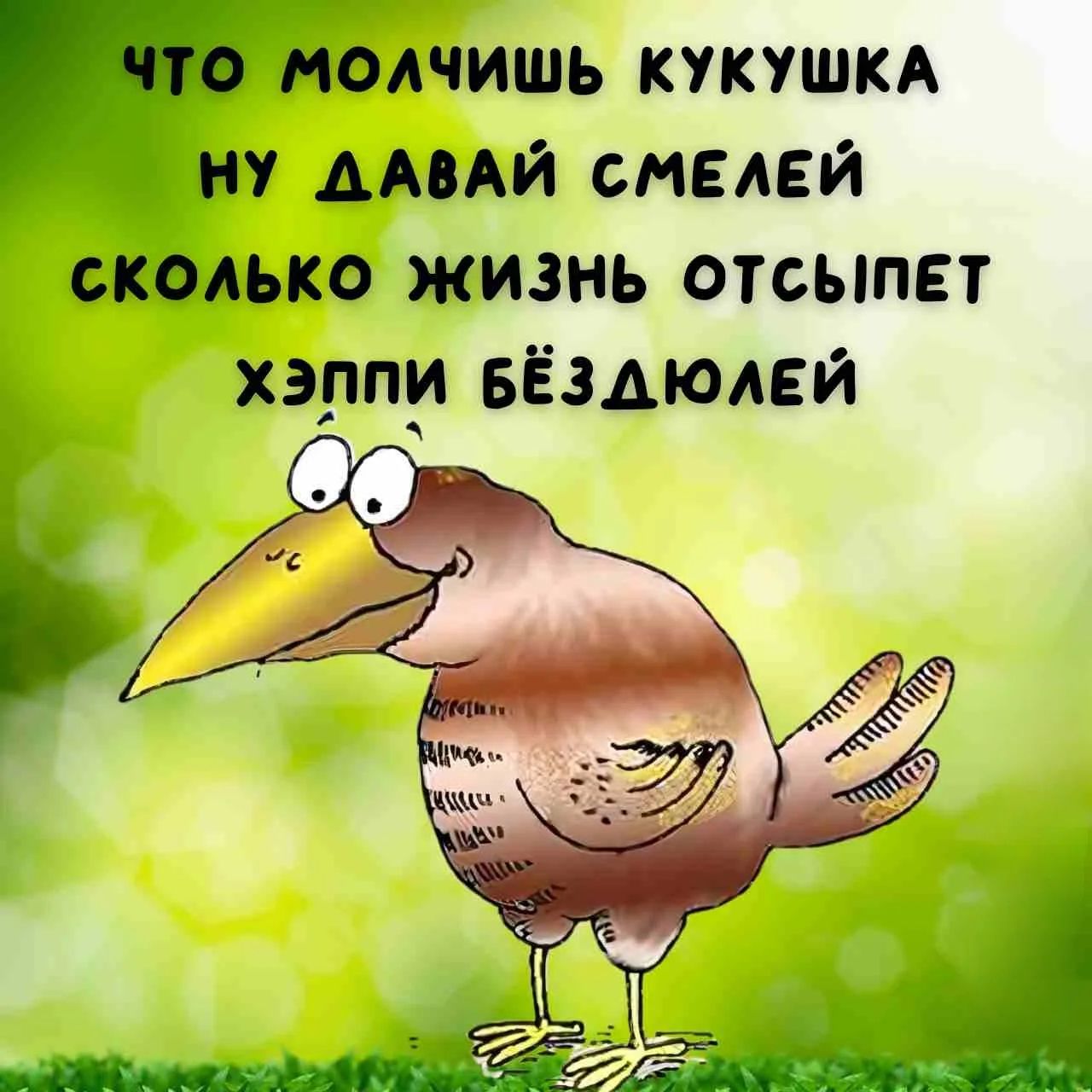 ЧТО МОЛЧИШЬ КУКУШКА НУ ДАВАЙ СМЕЛЕЙ СКОЛЬКО ЖИЗНЬ ОТСЫПЕТ ХЭППИ БЁЗДЮЛЕЙ