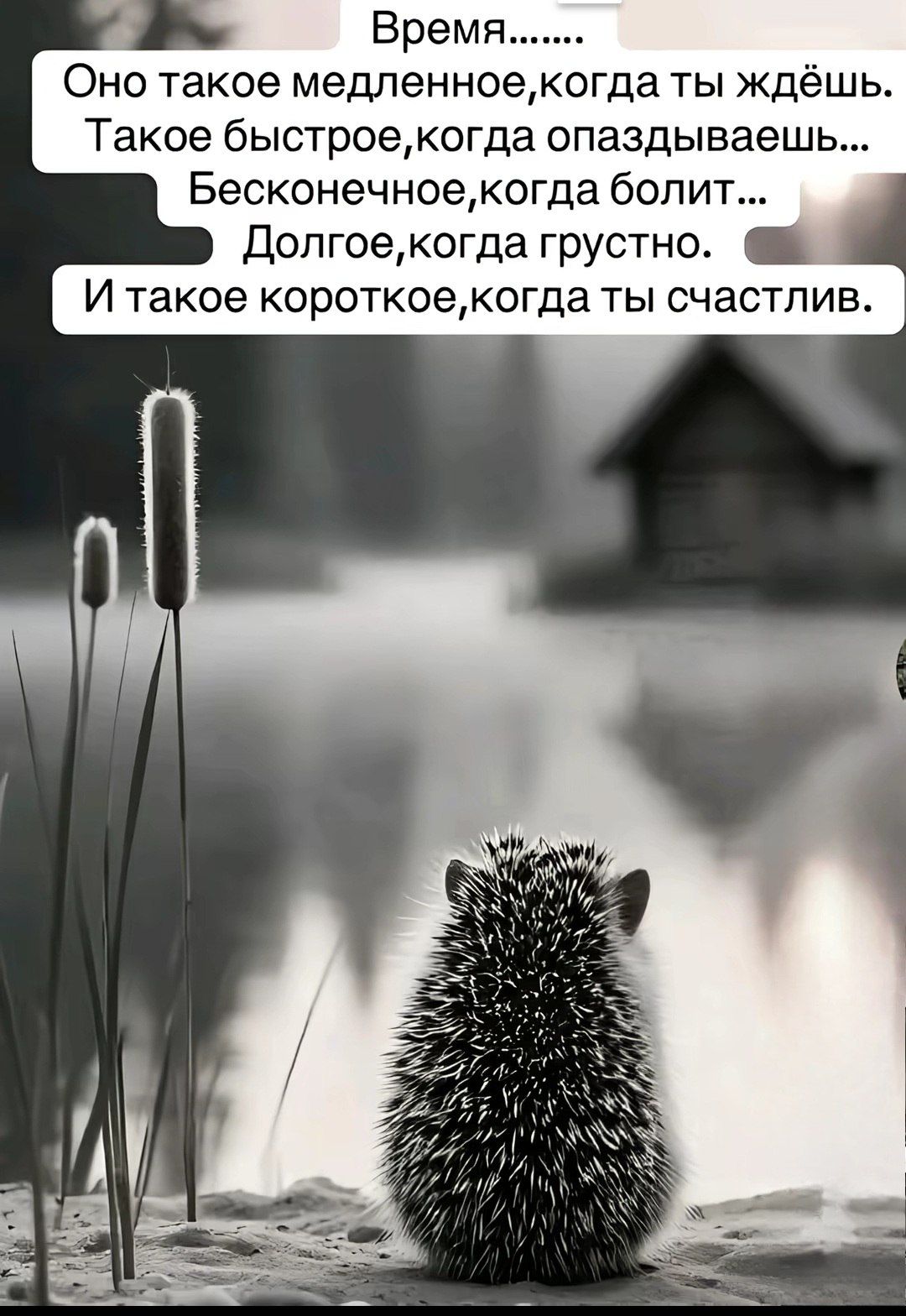 Время.......
Оно такое медленное,когда ты ждёшь.
Такое быстрое,когда опаздываешь...
Бесконечное,когда болит...
Долгое,когда грустно.
И такое короткое,когда ты счастлив.