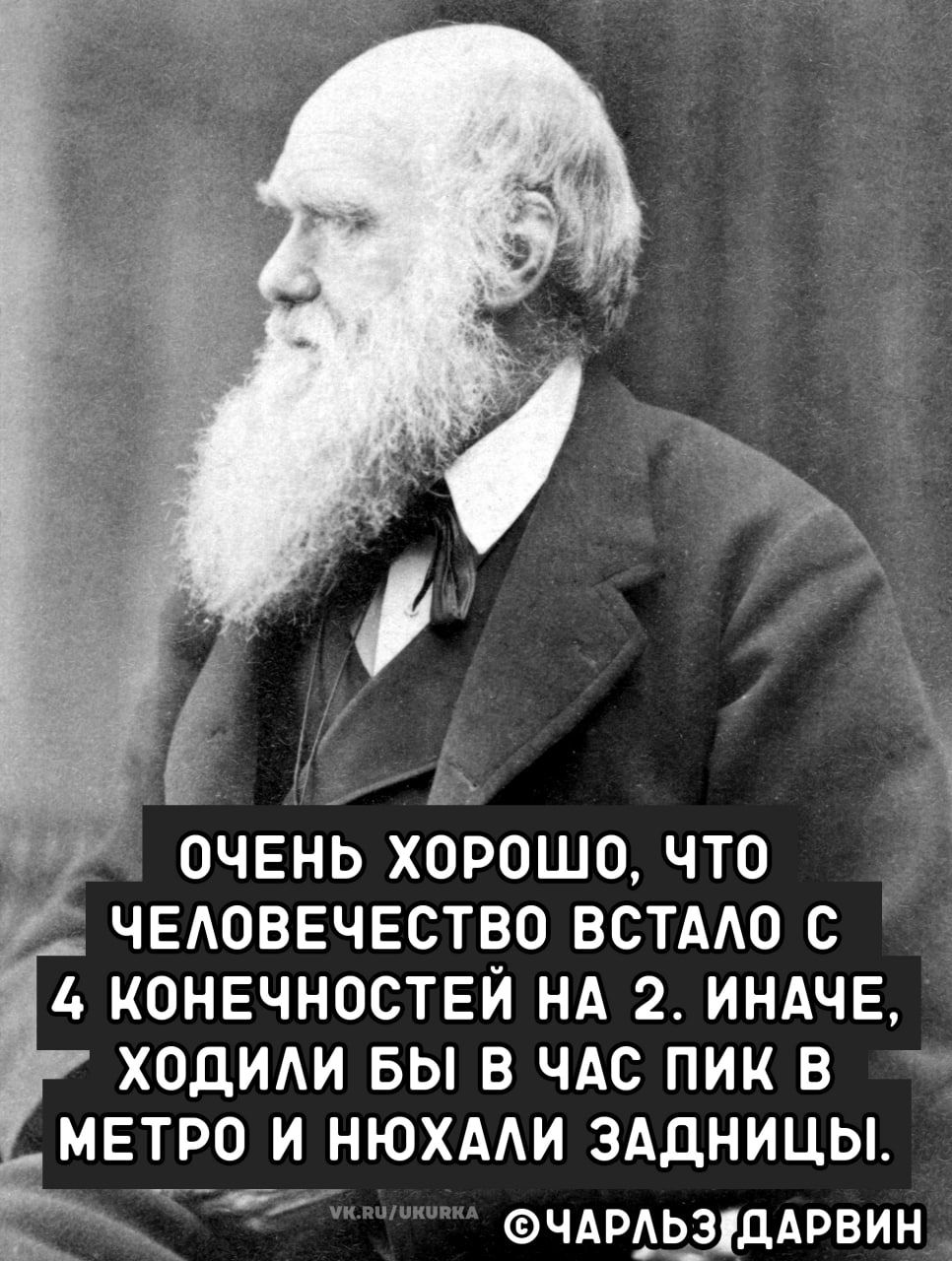 ОЧЕНЬ ХОРОШО, ЧТО ЧЕЛОВЕЧЕСТВО ВСТАЛО С 4 КОНЕЧНОСТЕЙ НА 2. ИНАЧЕ, ХОДИЛИ БЫ В ЧАС ПИК В МЕТРО И НЮХАЛИ ЗАДНИЦЫ. ©ЧАРЛЬЗ ДАРВИН VK.RU/UKURKA