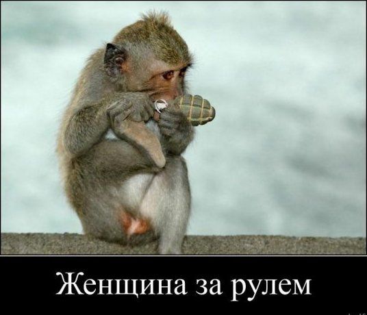 Женщина за рулем