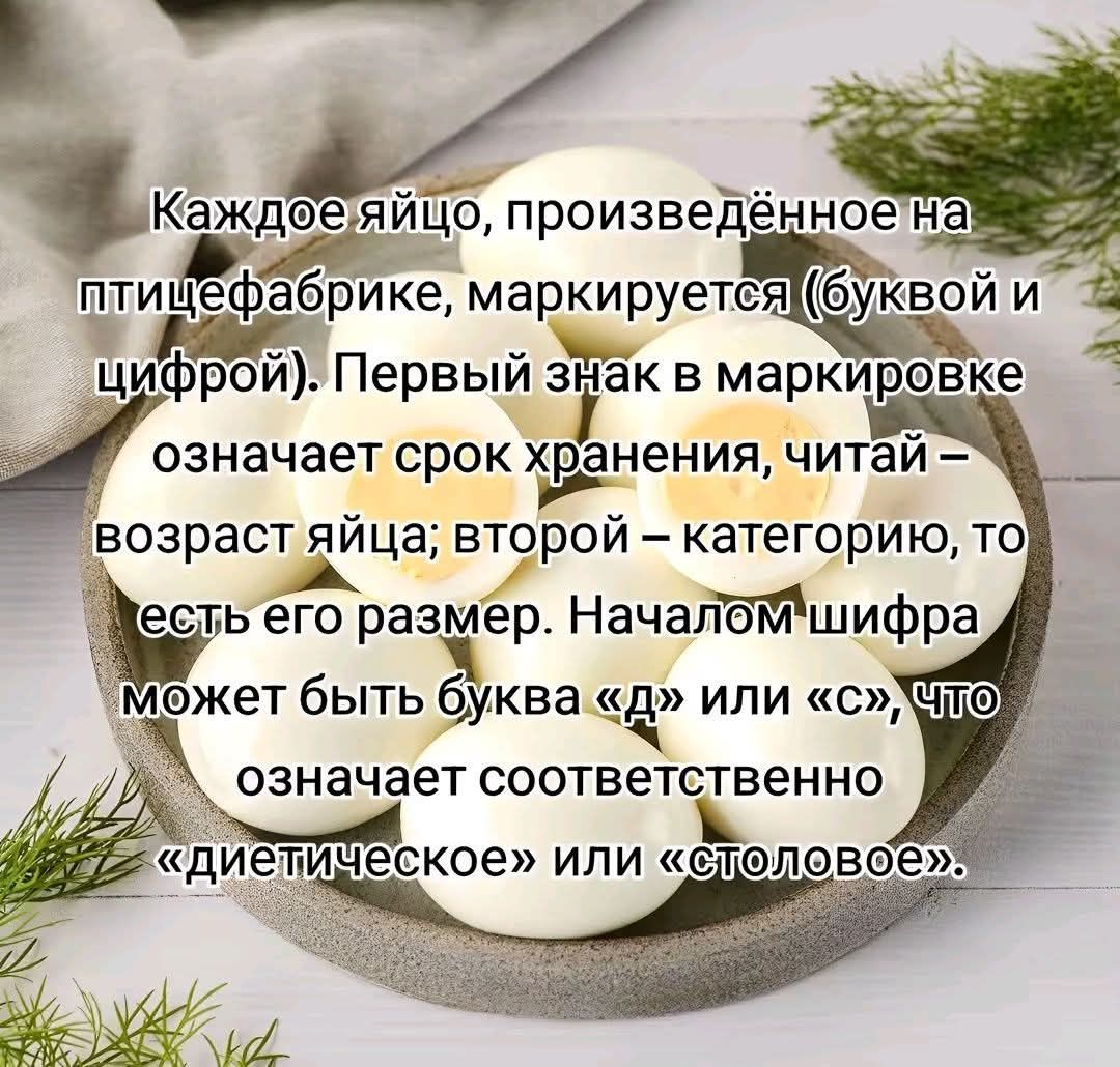 Каждое яйцо, произведённое на птицефабрике, маркируется (буквой и цифрой). Первый знак в маркировке означает срок хранения, читай – возраст яйца; второй – категорию, то есть его размер. Началом шифра может быть буква «д» или «с», что означает соответственно «диетическое» или «столовое».