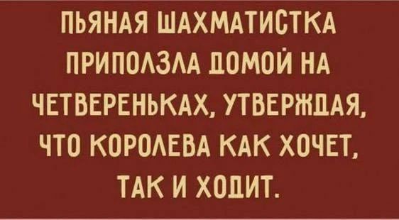 ПЬЯНАЯ ШАХМАТИСТКА ПРИПОЛЗЛА ДОМОЙ НА ЧЕТВЕРЕНЬКАХ, УТВЕРЖДАЯ, ЧТО КОРОЛЕВА КАК ХОЧЕТ, ТАК И ХОДИТ.