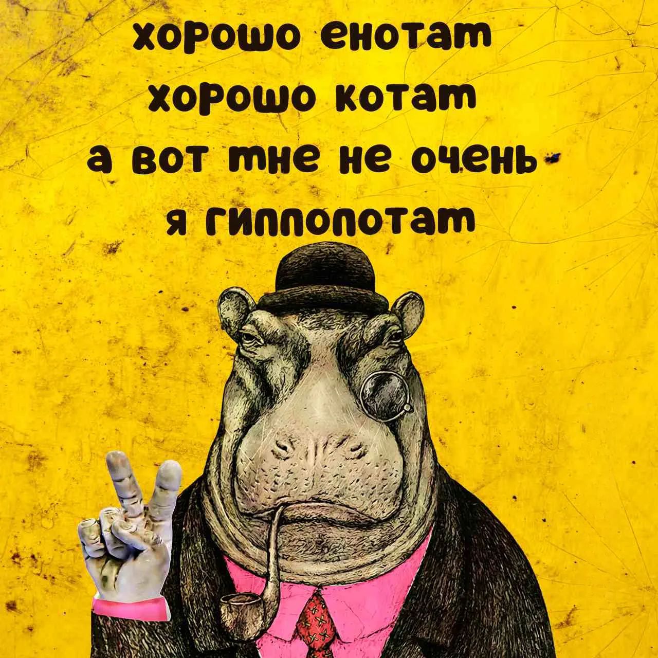 хорошо енотам хорошо котам а вот мне не очень я гиппопотам