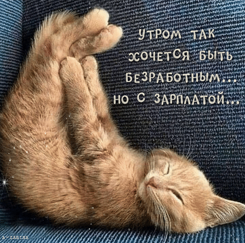 утром так хочется быть безработным... но с зарплатой...