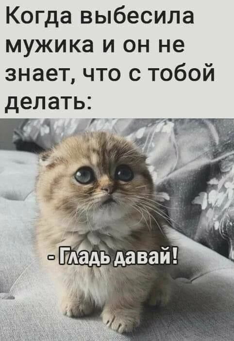 Когда выбесила мужика и он не знает, что с тобой делать: - Гладь давай!