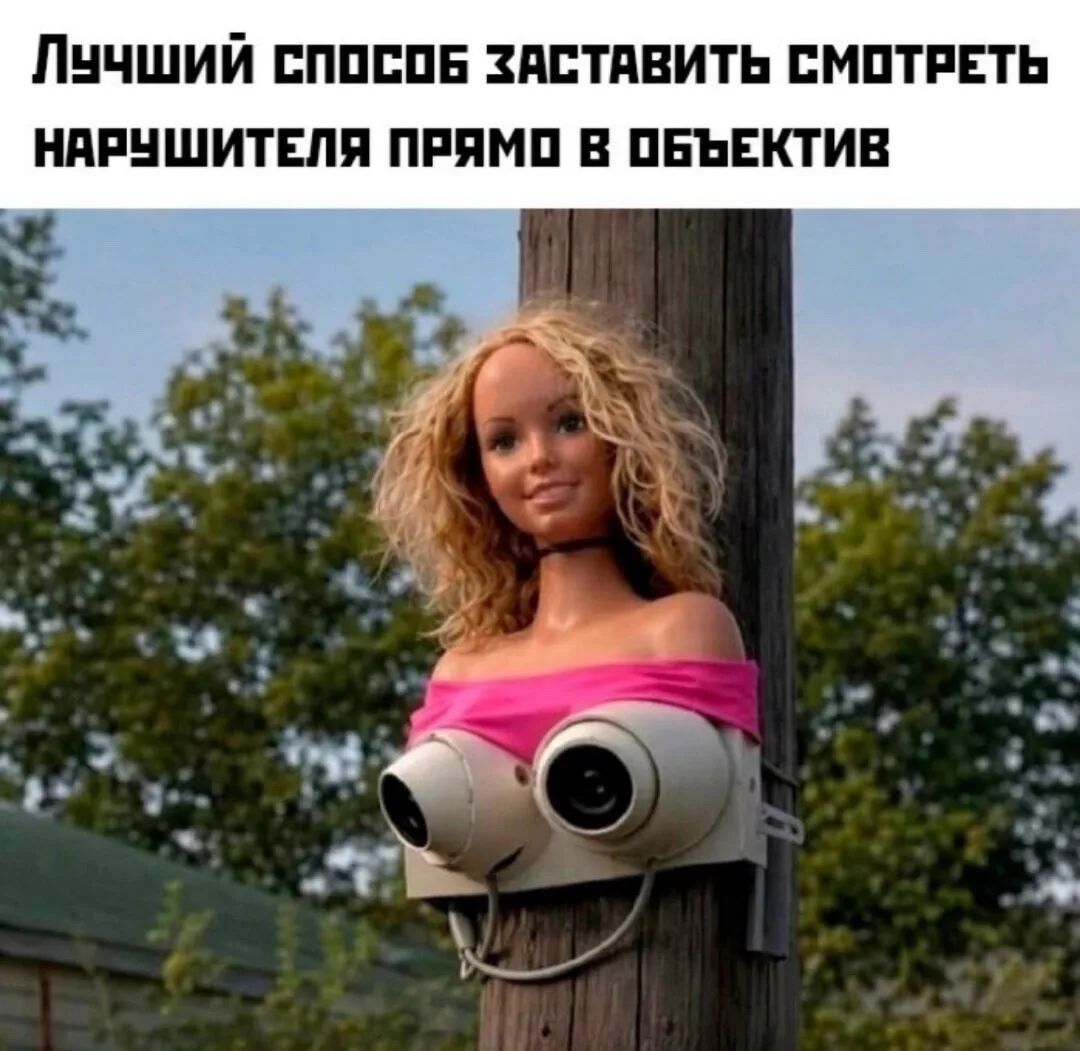 Лучший способ заставить смотреть нарушителя прямо в объектив
