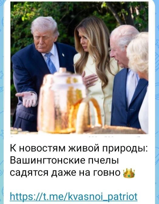 К новостям живой природы: Вашингтонские пчелы садятся даже на говно 👑