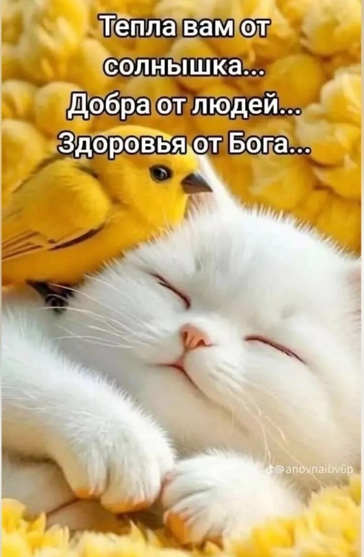 Тепла вам от солнышка... Добра от людей... Здоровья от Бога...