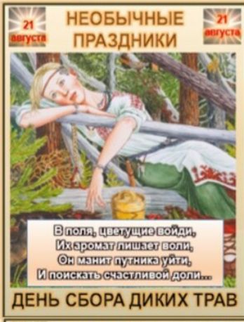 21 августа НЕОБЫЧНЫЕ ПРАЗДНИКИ. В поля, цветущие войди, Их аромат лишает воли, Он манит путника уйти, И поискать счастливой доли... ДЕНЬ СБОРА ДИКИХ ТРАВ