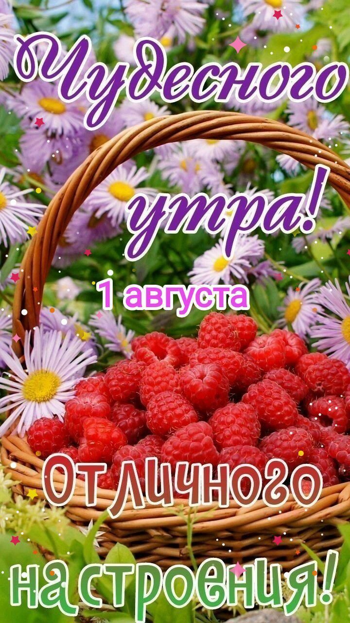Чудесного утра! 1 августа Отличного настроения!